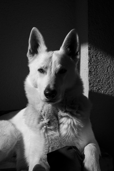 Casper