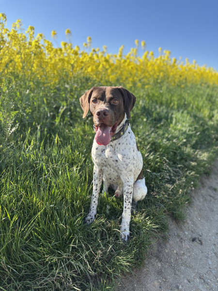 Charlie