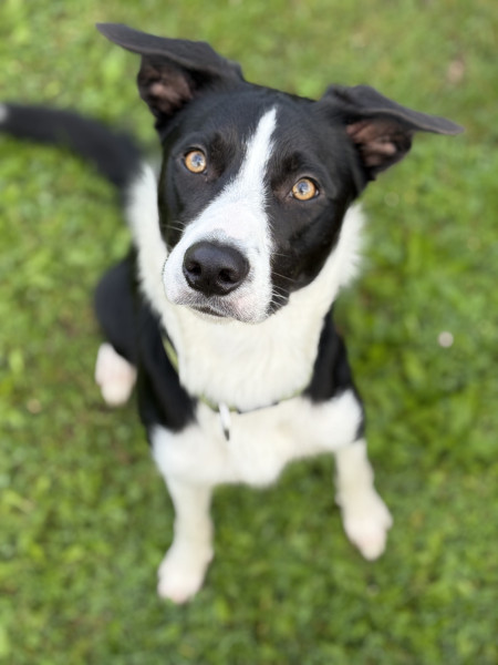 Awesome Kipp Snow Trip