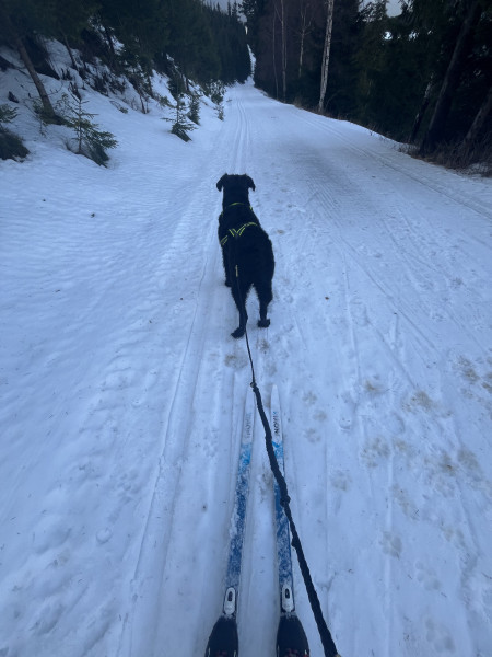 Vanila Valentina (Bessi)