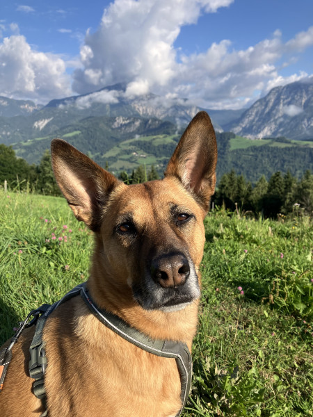 Agáta