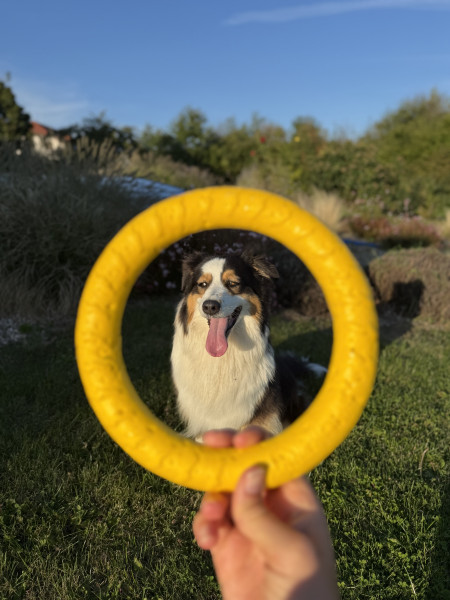 Mia