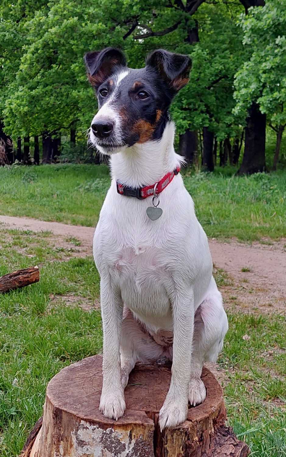 Maya-Fifi od Bohušovské stráně