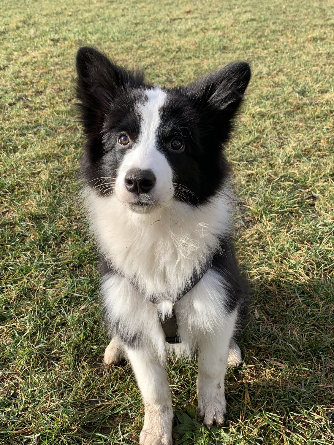 Peeta
