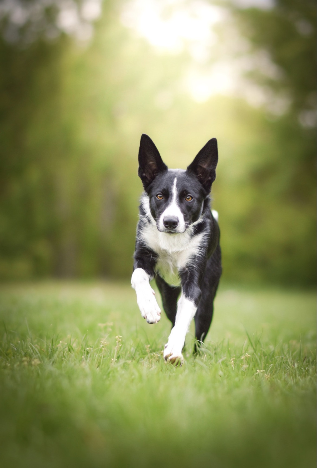 Always Be Unique Snow Trip - „Nawi”